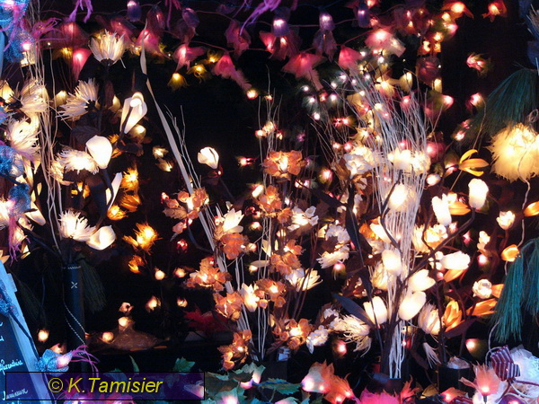 2008-12-15 16-45-01.JPG - Weihnachtszeit in den Vogesen